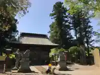 胸形神社の本殿・本堂
