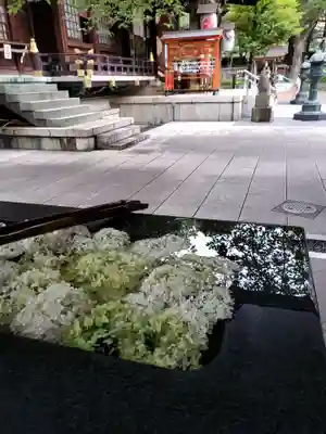 熊野神社(東京都)