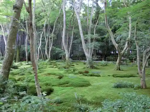 祇王寺(京都府)