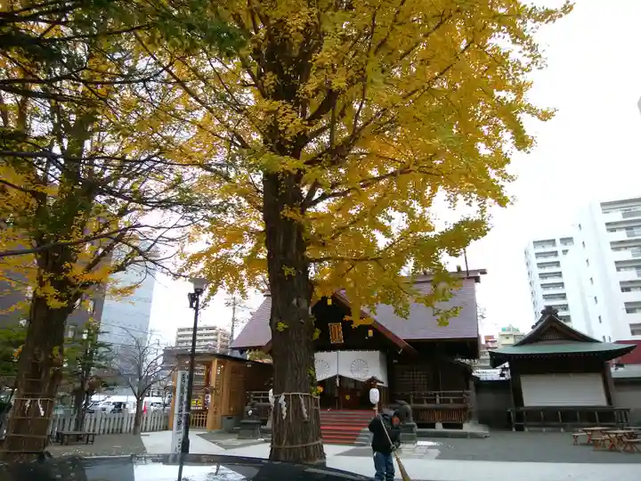 北海道神宮頓宮の自然