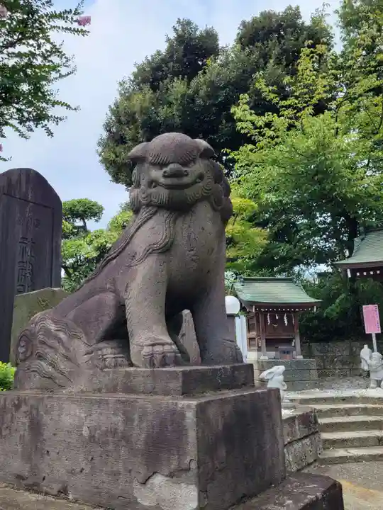 赤羽八幡神社の狛犬