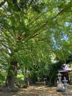 三坂神社(茨城県)
