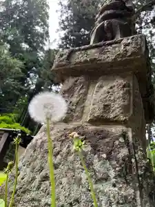 大宮温泉神社(栃木県)(2023年05月07日(日) 08時11分03秒投稿)