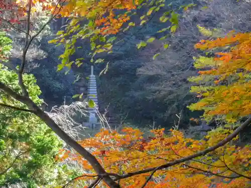 安國論寺（安国論寺）の自然
