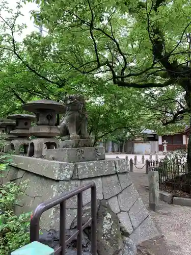 諏訪神社の狛犬