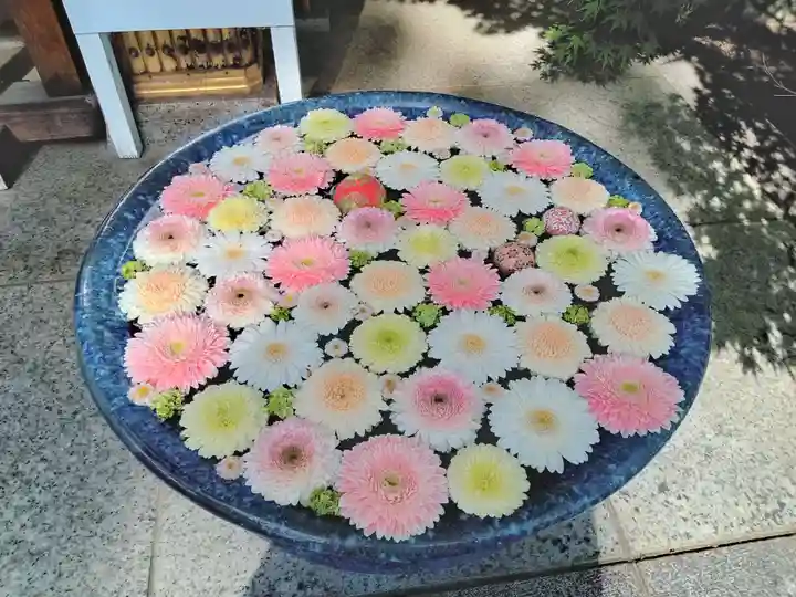 行田八幡神社(埼玉県)