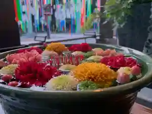 滑川神社 - 仕事と子どもの守り神の手水舎(2021年07月23日(金) 22時00分27秒投稿)