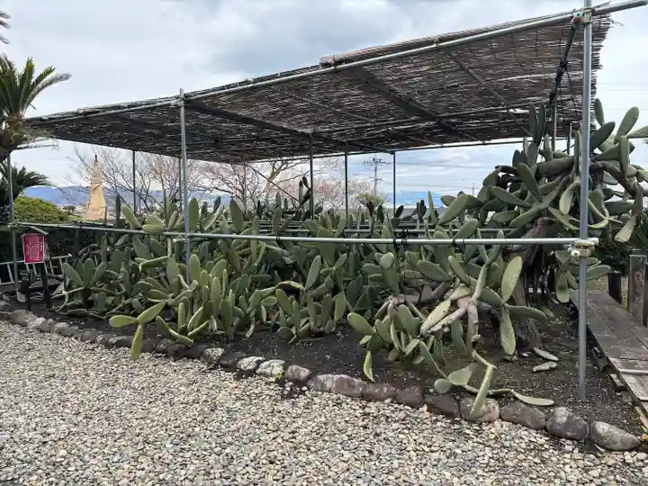 龍華寺(静岡県)