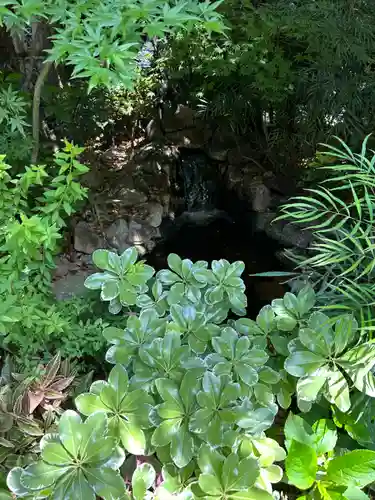 東京大神宮(東京都)