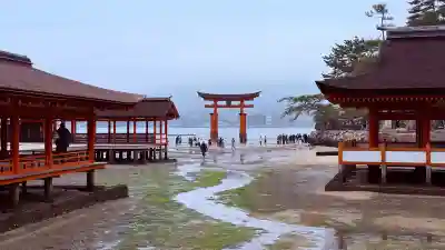 厳島神社の{uncategorized: "未分類", other: "その他", undefined: "問題あり", building: "その他建物", grave: "お墓", sacred_gate: "鳥居", guardian: "狛犬", statue: "像", buddha: "仏像", history: "歴史", nature: "自然", garden: "庭園", animal: "動物", pagoda: "塔", temizu: "手水舎", mountain_gate: "山門・神門", sanctuary: "本殿・本堂", subordinate: "末社・摂社", art: "芸術", scenery: "景色", jizo: "地蔵", ema: "絵馬", goshuin: "御朱印", omikuji: "おみくじ", items: "授与品その他", amulet: "お守り", goshuincho: "御朱印帳", eats: "食事", festival: "お祭り", votive_dance: "神楽", shichigosan: "七五三参", wedding: "結婚式", experience: "体験その他", initially: "初詣", around: "周辺", anti_infection: "感染症対策"}
