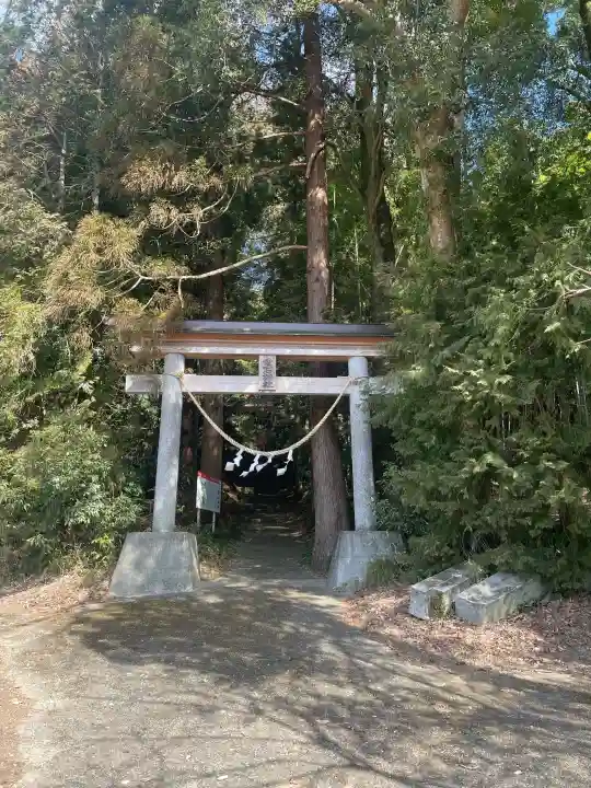 愛宕神社の{uncategorized: "未分類", other: "その他", undefined: "問題あり", building: "その他建物", grave: "お墓", sacred_gate: "鳥居", guardian: "狛犬", statue: "像", buddha: "仏像", history: "歴史", nature: "自然", garden: "庭園", animal: "動物", pagoda: "塔", temizu: "手水舎", mountain_gate: "山門・神門", sanctuary: "本殿・本堂", subordinate: "末社・摂社", art: "芸術", scenery: "景色", jizo: "地蔵", ema: "絵馬", goshuin: "御朱印", omikuji: "おみくじ", items: "授与品その他", amulet: "お守り", goshuincho: "御朱印帳", eats: "食事", festival: "お祭り", votive_dance: "神楽", shichigosan: "七五三参", wedding: "結婚式", experience: "体験その他", initially: "初詣", around: "周辺", anti_infection: "感染症対策"}