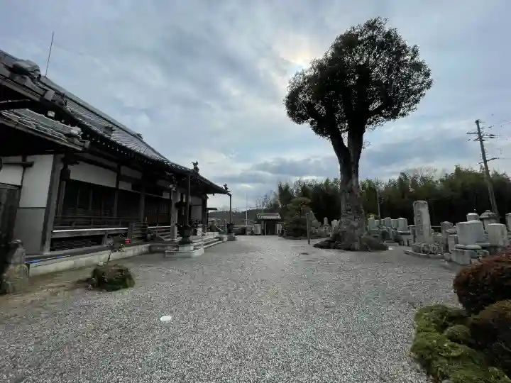 永福寺の{uncategorized: "未分類", other: "その他", undefined: "問題あり", building: "その他建物", grave: "お墓", sacred_gate: "鳥居", guardian: "狛犬", statue: "像", buddha: "仏像", history: "歴史", nature: "自然", garden: "庭園", animal: "動物", pagoda: "塔", temizu: "手水舎", mountain_gate: "山門・神門", sanctuary: "本殿・本堂", subordinate: "末社・摂社", art: "芸術", scenery: "景色", jizo: "地蔵", ema: "絵馬", goshuin: "御朱印", omikuji: "おみくじ", items: "授与品その他", amulet: "お守り", goshuincho: "御朱印帳", eats: "食事", festival: "お祭り", votive_dance: "神楽", shichigosan: "七五三参", wedding: "結婚式", experience: "体験その他", initially: "初詣", around: "周辺", anti_infection: "感染症対策"}