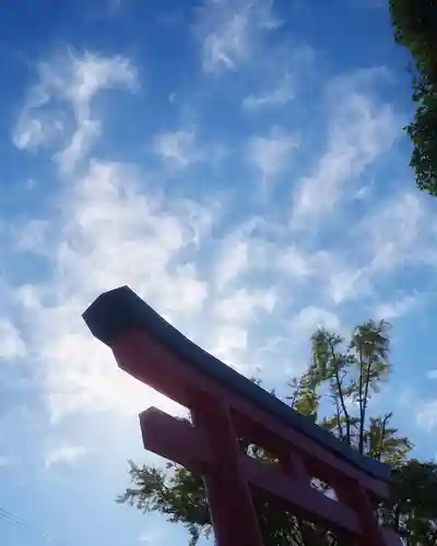 津島神社の鳥居