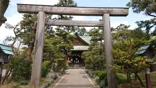 新潟大神宮の鳥居