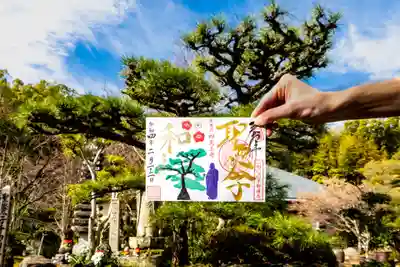 境内の「聖徳太子の松」とともに。