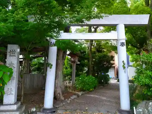 世木神社の鳥居