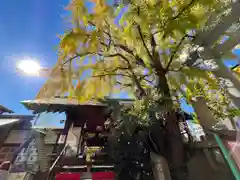 波除神社（波除稲荷神社）の建物その他