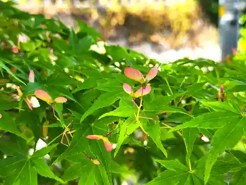 平林寺(兵庫県)
