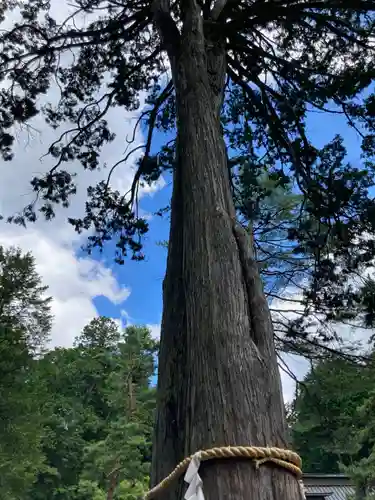 北口本宮冨士浅間神社のその他建物