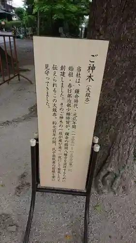 春日部八幡神社の御朱印