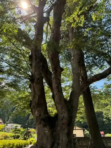 諏訪大社上社前宮(長野県)