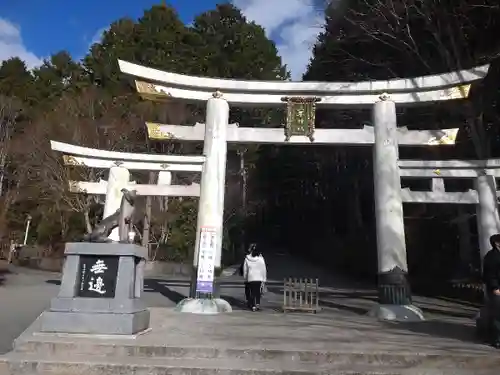 三峯神社(埼玉県)