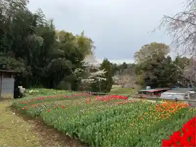 泉蔵寺(神奈川県)