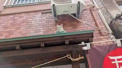 長崎尾曲がり猫神社の狛犬