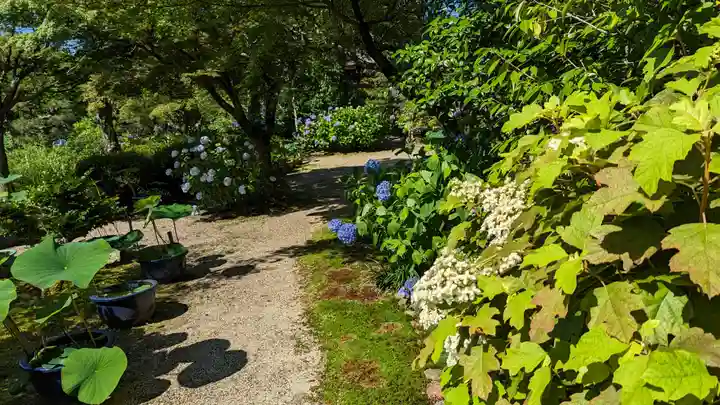 法金剛院(京都府)