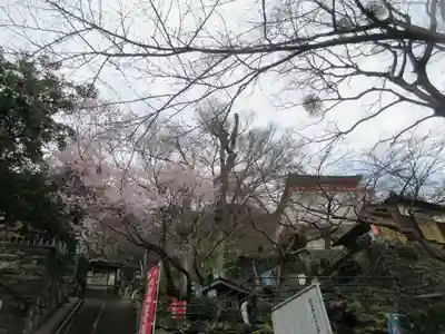 金剛宝寺（紀三井寺）(和歌山県)