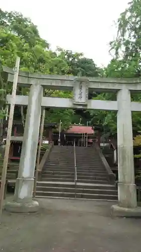 鹿児島神社の鳥居