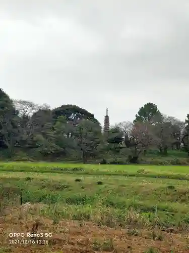 慈恩寺(埼玉県)