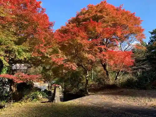 長瀧寺(岐阜県)