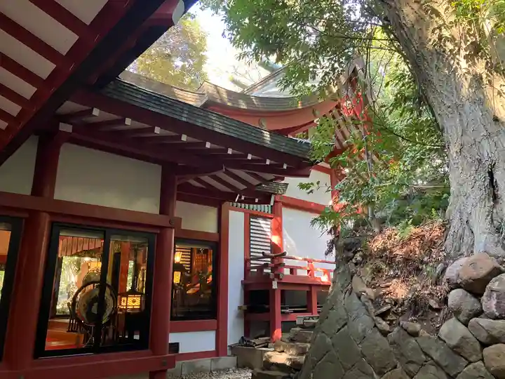 來宮神社(静岡県)