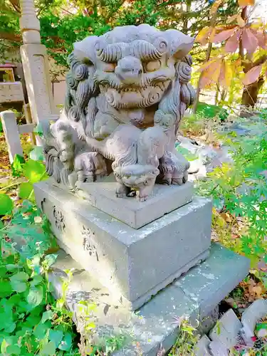 菜洗神社の狛犬