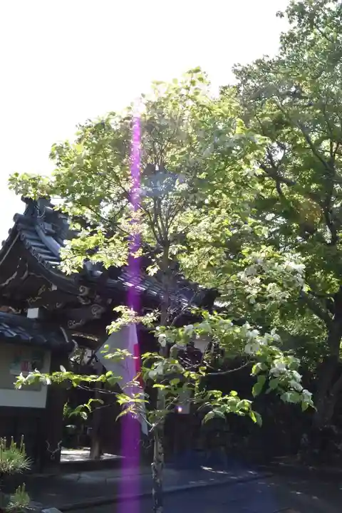 西教寺の山門・神門