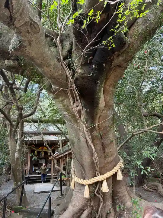 八大龍王水神(宮崎県)