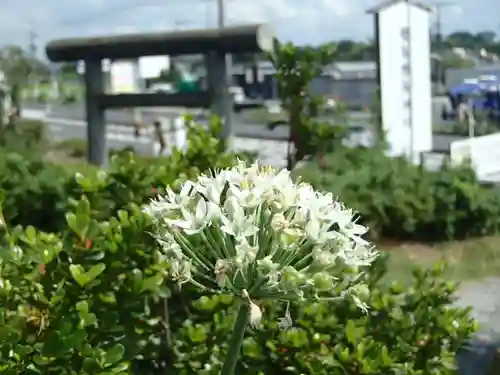 磐裂根裂神社の自然