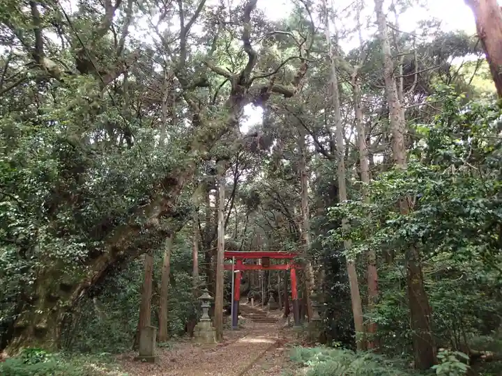 八雲神社の自然