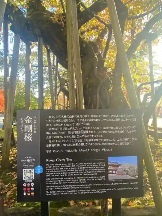 輪王寺(栃木県)