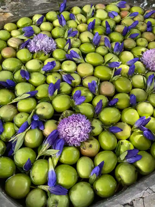 廣田神社~病厄除守護神~(青森県)