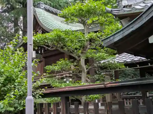 神足神社(京都府)