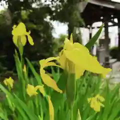 豊景神社の自然