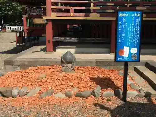 大杉神社の体験その他