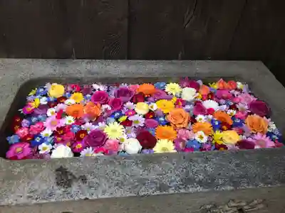 宝林寺の手水舎