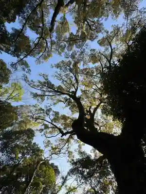 葭原神社(皇大神宮末社)の{uncategorized: "未分類", other: "その他", undefined: "問題あり", building: "その他建物", grave: "お墓", sacred_gate: "鳥居", guardian: "狛犬", statue: "像", buddha: "仏像", history: "歴史", nature: "自然", garden: "庭園", animal: "動物", pagoda: "塔", temizu: "手水舎", mountain_gate: "山門・神門", sanctuary: "本殿・本堂", subordinate: "末社・摂社", art: "芸術", scenery: "景色", jizo: "地蔵", ema: "絵馬", goshuin: "御朱印", omikuji: "おみくじ", items: "授与品その他", amulet: "お守り", goshuincho: "御朱印帳", eats: "食事", festival: "お祭り", votive_dance: "神楽", shichigosan: "七五三参", wedding: "結婚式", experience: "体験その他", initially: "初詣", around: "周辺", anti_infection: "感染症対策"}