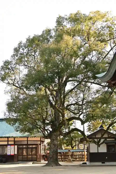 玉祖神社(山口県)