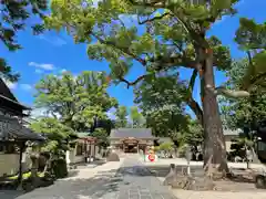 久居八幡宮（野邊野神社）(三重県)