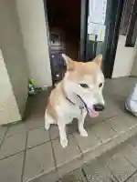 笠䅣稲荷神社(神奈川県)