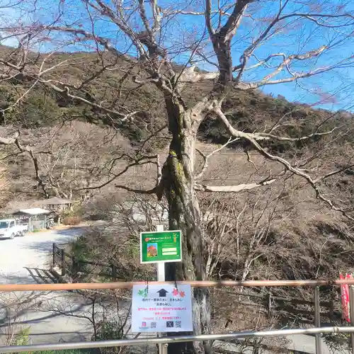 普門寺(切り絵御朱印発祥の寺)(愛知県)